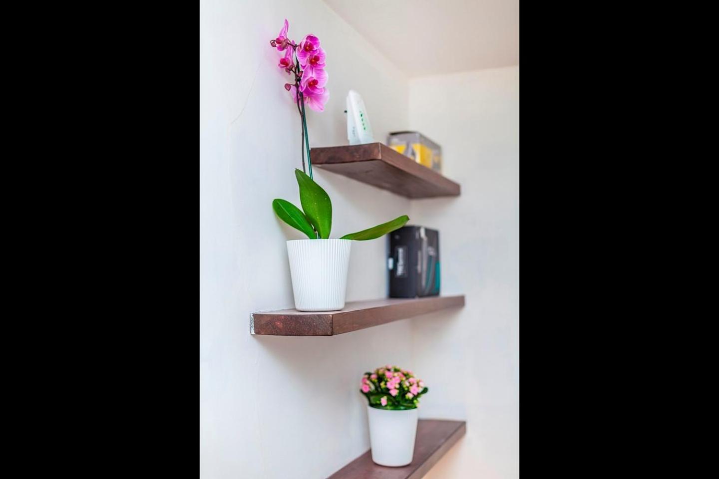 Kensington Apartment Лондон Екстериор снимка